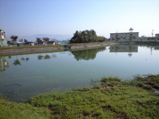 野池