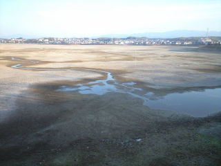 野池