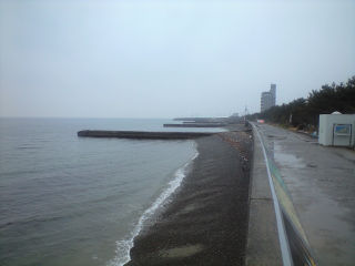みさき公園裏