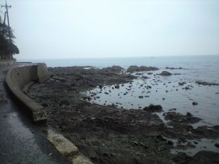 みさき公園裏