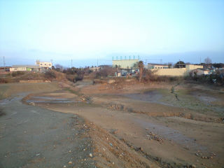 南大阪の野池