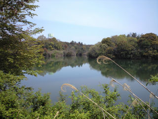 野池