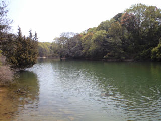 野池