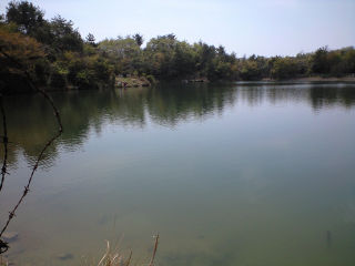 野池