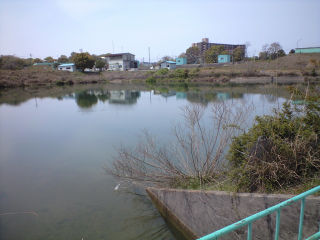 野池