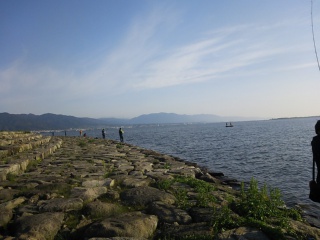 琵琶湖バス釣り